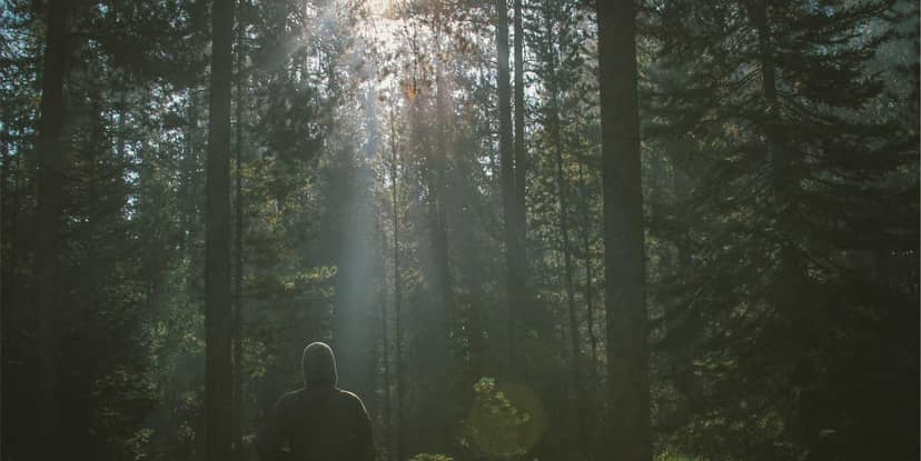 Unauth title pSAWLlyM